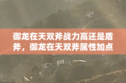 御龙在天双斧战力高还是盾斧，御龙在天双斧属性加点攻略，打造无敌战斗力的关键所在