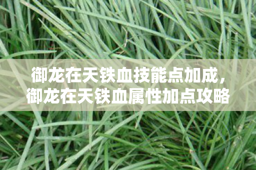 御龙在天铁血技能点加成，御龙在天铁血属性加点攻略