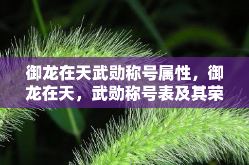 御龙在天武勋称号属性，御龙在天，武勋称号表及其荣耀传承