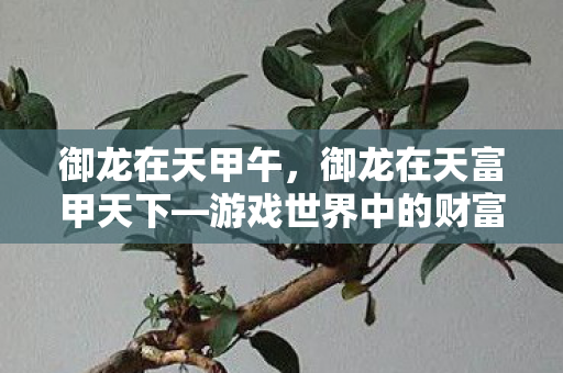 御龙在天甲午,御龙在天富甲天下—游戏世界中的财富帝国建设之路 御龙在天甲午,御龙在天富甲天下—游戏世界中的财富帝国建设之路