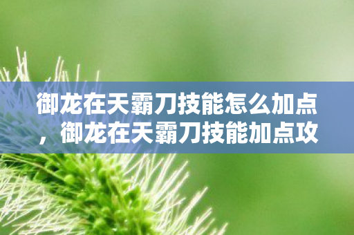 御龙在天霸刀技能怎么加点，御龙在天霸刀技能加点攻略