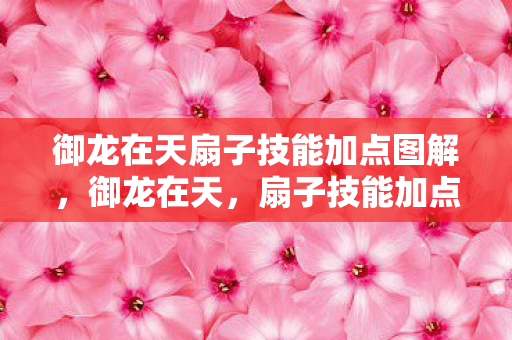 御龙在天扇子技能加点图解，御龙在天，扇子技能加点攻略