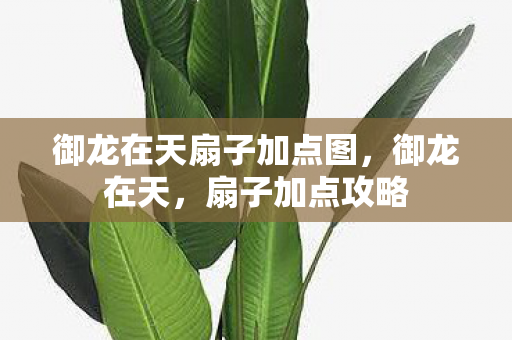 御龙在天扇子加点图，御龙在天，扇子加点攻略