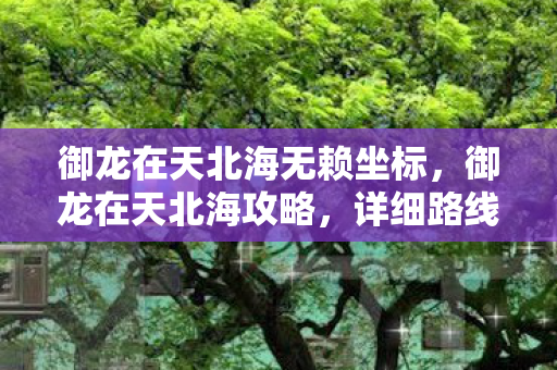 御龙在天北海无赖坐标，御龙在天北海攻略，详细路线指引