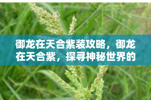 御龙在天合紫装攻略，御龙在天合紫，探寻神秘世界的奇幻之旅