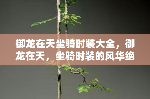 御龙在天坐骑时装大全,御龙在天,坐骑时装的风华绝代 御龙在天坐骑时装大全,御龙在天,坐骑时装的风华绝代