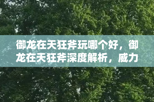 御龙在天狂斧玩哪个好，御龙在天狂斧深度解析，威力与特色的融合