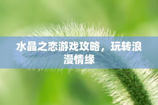 水晶之恋游戏攻略，玩转浪漫情缘