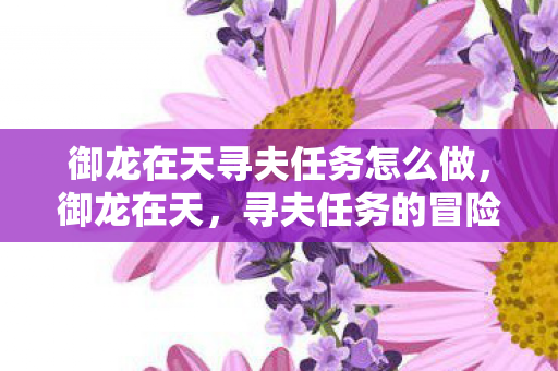 御龙在天寻夫任务怎么做，御龙在天，寻夫任务的冒险之旅