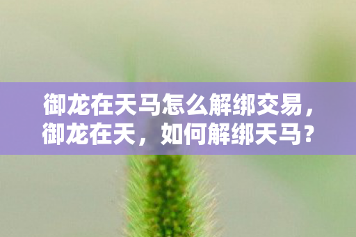 御龙在天马怎么解绑交易，御龙在天，如何解绑天马？详细步骤与注意事项