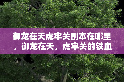 御龙在天虎牢关副本在哪里，御龙在天，虎牢关的铁血传奇