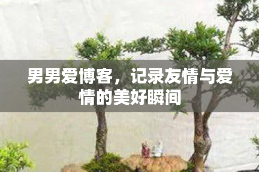 男男爱博客，记录友情与爱情的美好瞬间