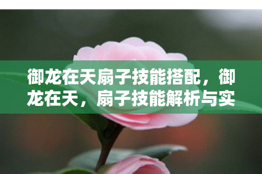 御龙在天扇子技能搭配，御龙在天，扇子技能解析与实战运用策略