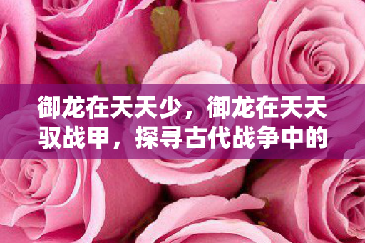 御龙在天天少，御龙在天天驭战甲，探寻古代战争中的英勇传奇
