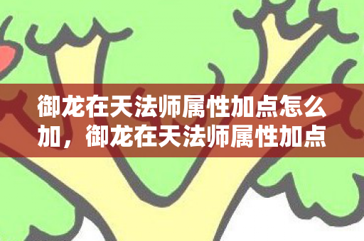御龙在天法师属性加点怎么加，御龙在天法师属性加点攻略，提升你的战斗力与生存能力