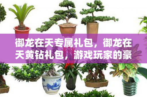 御龙在天专属礼包，御龙在天黄钻礼包，游戏玩家的豪华福利