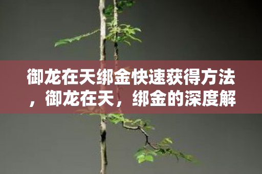 御龙在天绑金快速获得方法,御龙在天,绑金的深度解析 御龙在天绑金快速获得方法,御龙在天,绑金的深度解析