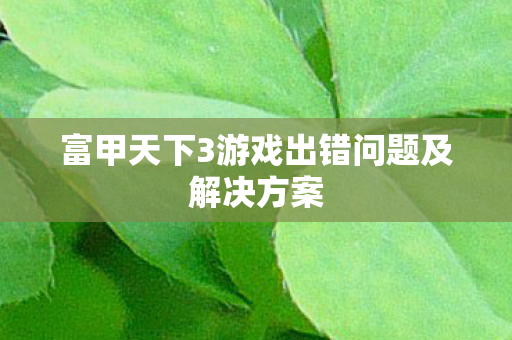 富甲天下3游戏出错问题及解决方案