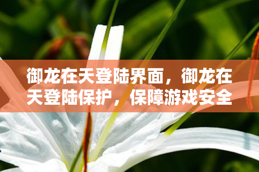 御龙在天登陆界面，御龙在天登陆保护，保障游戏安全的重要一环