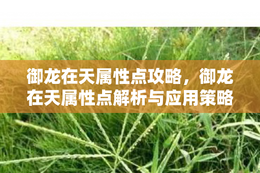 御龙在天属性点攻略,御龙在天属性点解析与应用策略 御龙在天属性点攻略,御龙在天属性点解析与应用策略