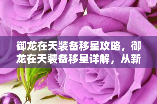 御龙在天装备移星攻略，御龙在天装备移星详解，从新手到高手的进阶指南