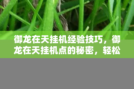 御龙在天挂机经验技巧,御龙在天挂机点的秘密,轻松升级,高效产出 御龙在天挂机经验技巧,御龙在天挂机点的秘密,轻松升级,高效产出