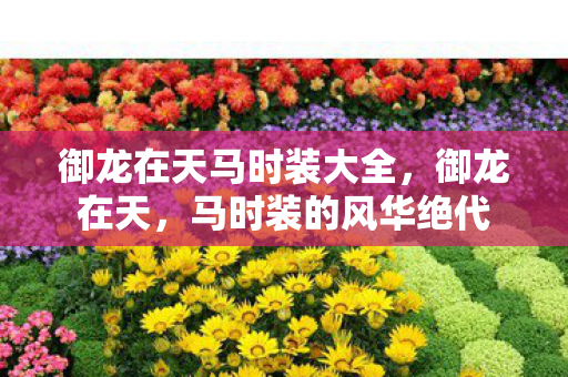 御龙在天马时装大全，御龙在天，马时装的风华绝代