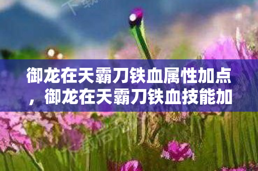 御龙在天霸刀铁血属性加点，御龙在天霸刀铁血技能加点攻略
