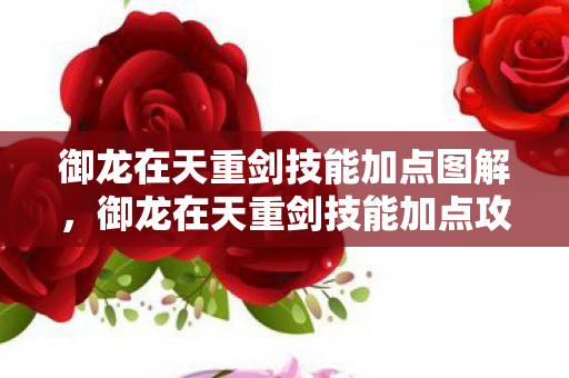 御龙在天重剑技能加点图解，御龙在天重剑技能加点攻略