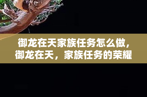 御龙在天家族任务怎么做，御龙在天，家族任务的荣耀与挑战