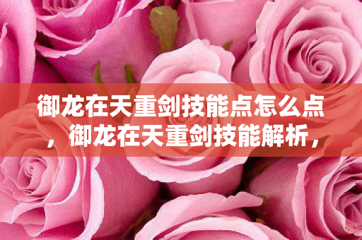 御龙在天重剑技能点怎么点,御龙在天重剑技能解析,威力与策略的结合 御龙在天重剑技能点怎么点,御龙在天重剑技能解析,威力与策略的结合