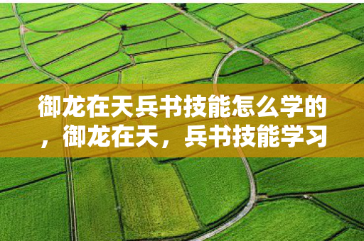 御龙在天兵书技能怎么学的，御龙在天，兵书技能学习攻略