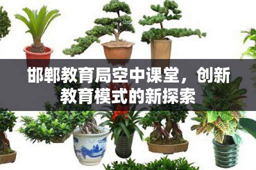 邯郸教育局空中课堂,创新教育模式的新探索 邯郸教育局空中课堂,创新教育模式的新探索