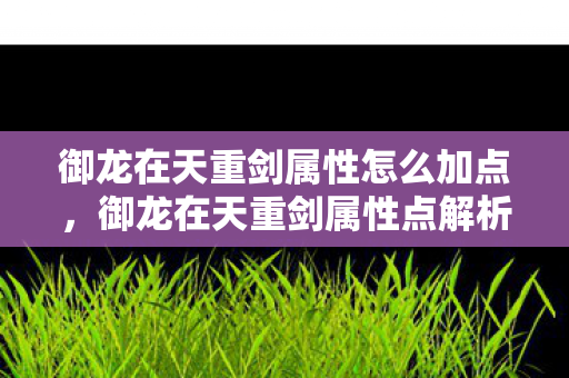 御龙在天重剑属性怎么加点，御龙在天重剑属性点解析，威力与策略并存的关键所在