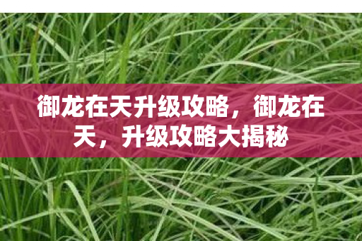 御龙在天升级攻略,御龙在天,升级攻略大揭秘 御龙在天升级攻略,御龙在天,升级攻略大揭秘