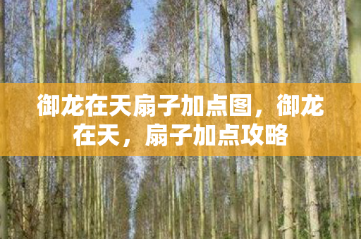 御龙在天扇子加点图，御龙在天，扇子加点攻略