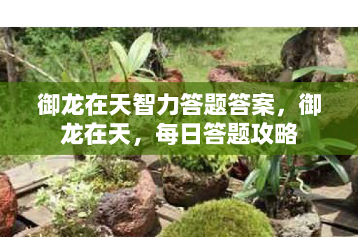 御龙在天智力答题答案，御龙在天，每日答题攻略