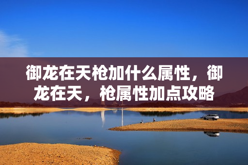 御龙在天枪加什么属性，御龙在天，枪属性加点攻略