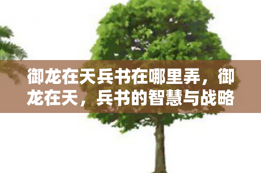 御龙在天兵书在哪里弄，御龙在天，兵书的智慧与战略