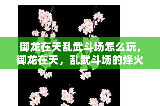 御龙在天乱武斗场怎么玩，御龙在天，乱武斗场的烽火传奇