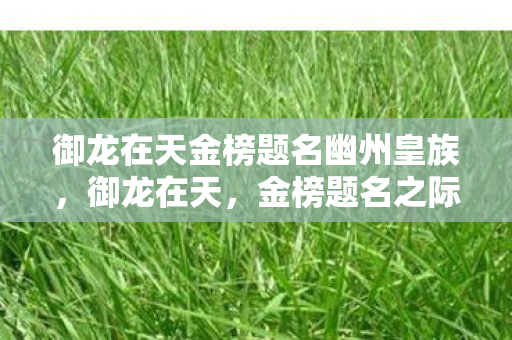 御龙在天金榜题名幽州皇族，御龙在天，金榜题名之际的荣耀与梦想