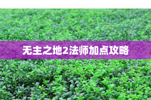 无主之地2法师加点攻略