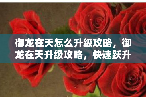御龙在天怎么升级攻略，御龙在天升级攻略，快速跃升等级巅峰