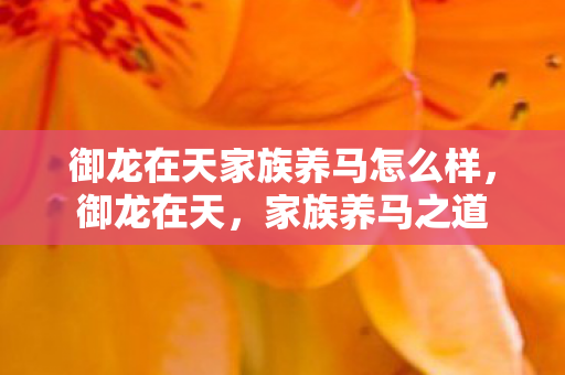 御龙在天家族养马怎么样,御龙在天,家族养马之道 御龙在天家族养马怎么样,御龙在天,家族养马之道