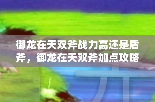 御龙在天双斧战力高还是盾斧,御龙在天双斧加点攻略,新手入门指南 御龙在天双斧战力高还是盾斧,御龙在天双斧加点攻略,新手入门指南