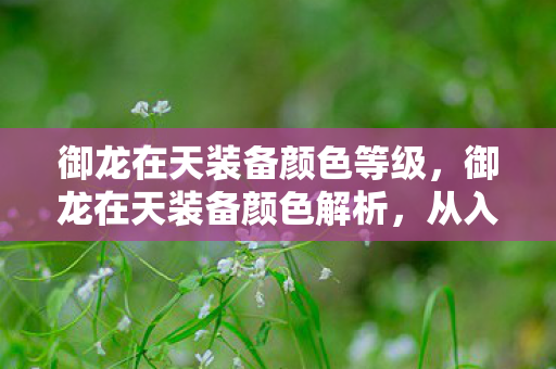 御龙在天装备颜色等级，御龙在天装备颜色解析，从入门到精通的装备进阶指南