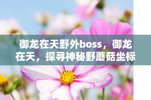 御龙在天野外boss,御龙在天,探寻神秘野蘑菇坐标的冒险之旅 御龙在天野外boss,御龙在天,探寻神秘野蘑菇坐标的冒险之旅