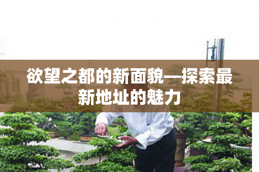 欲望之都的新面貌—探索最新地址的魅力