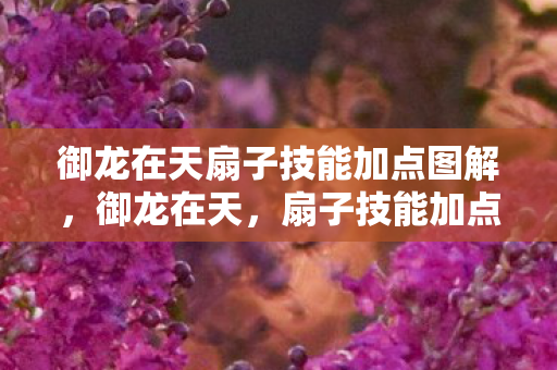 御龙在天扇子技能加点图解，御龙在天，扇子技能加点攻略详解