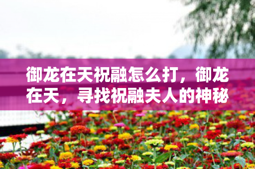 御龙在天祝融怎么打，御龙在天，寻找祝融夫人的神秘坐标